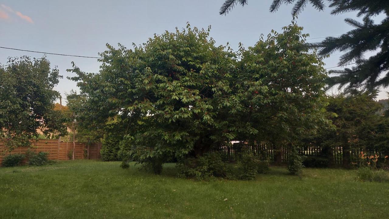 Apartamenty Stokrotka Lądek-Zdrój Esterno foto