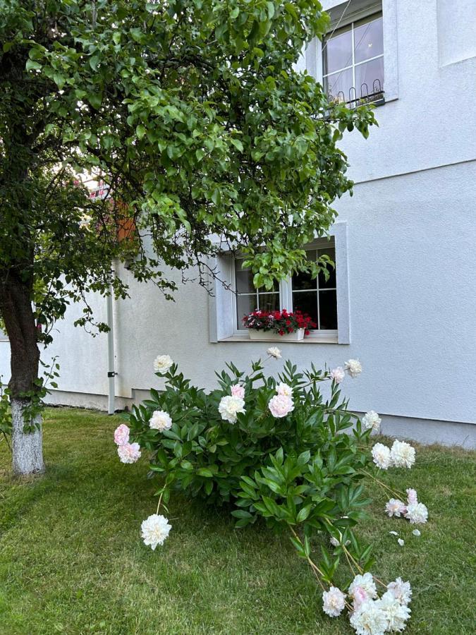 Apartamenty Stokrotka Lądek-Zdrój Esterno foto