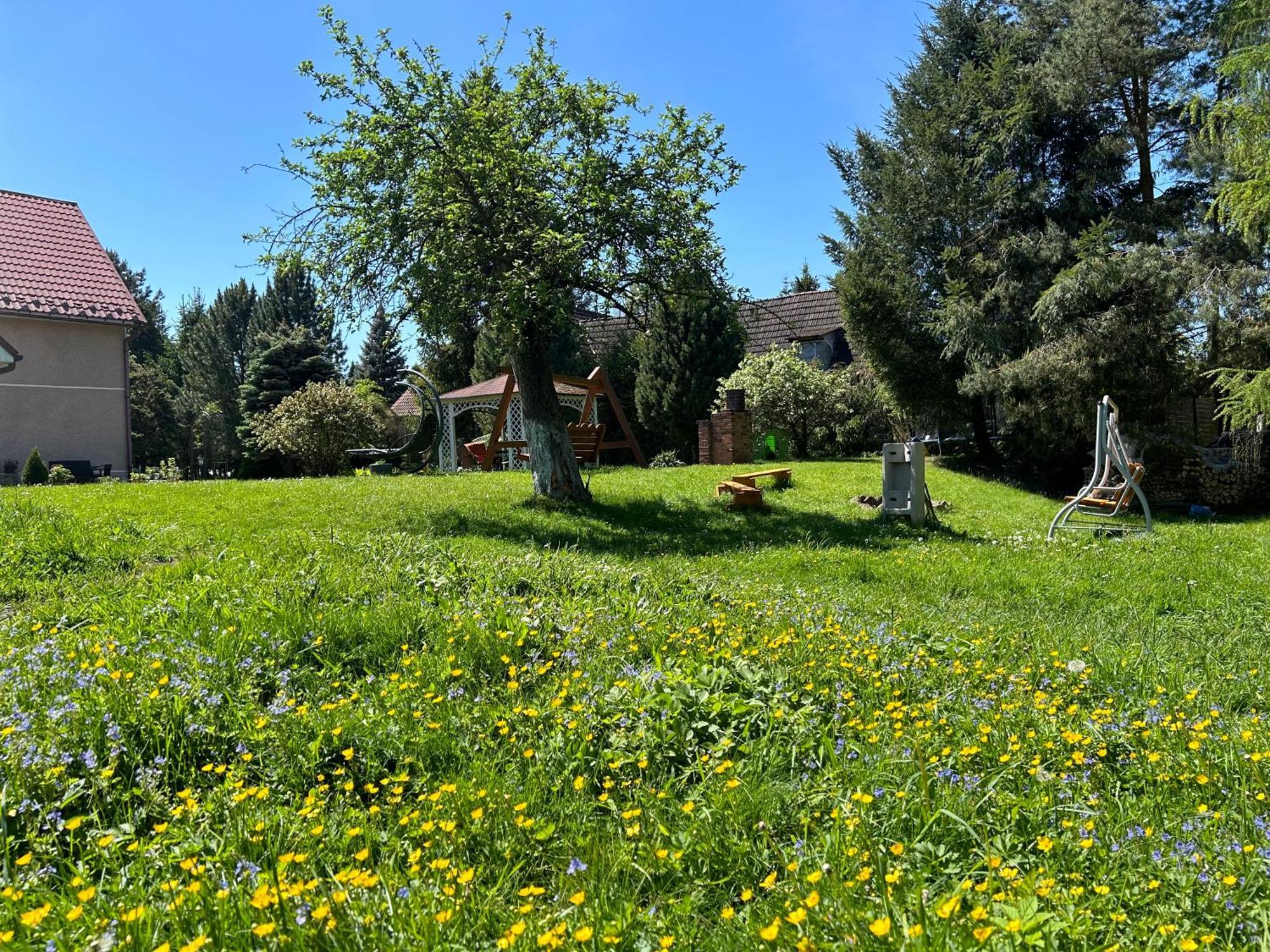 Apartamenty Stokrotka Lądek-Zdrój Esterno foto
