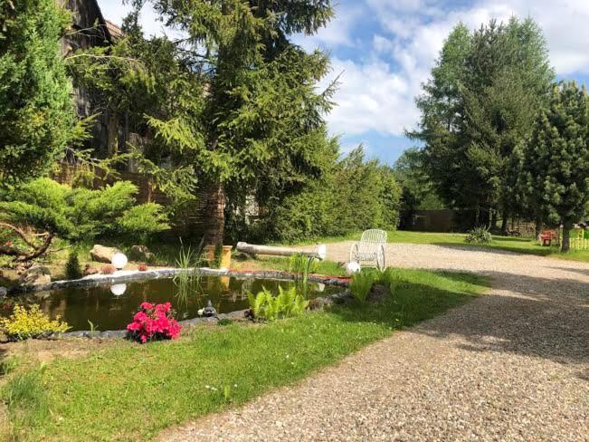 Apartamenty Stokrotka Lądek-Zdrój Esterno foto